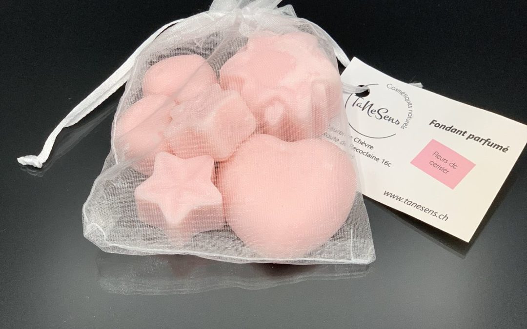 Sachet de fondants de cire parfumés